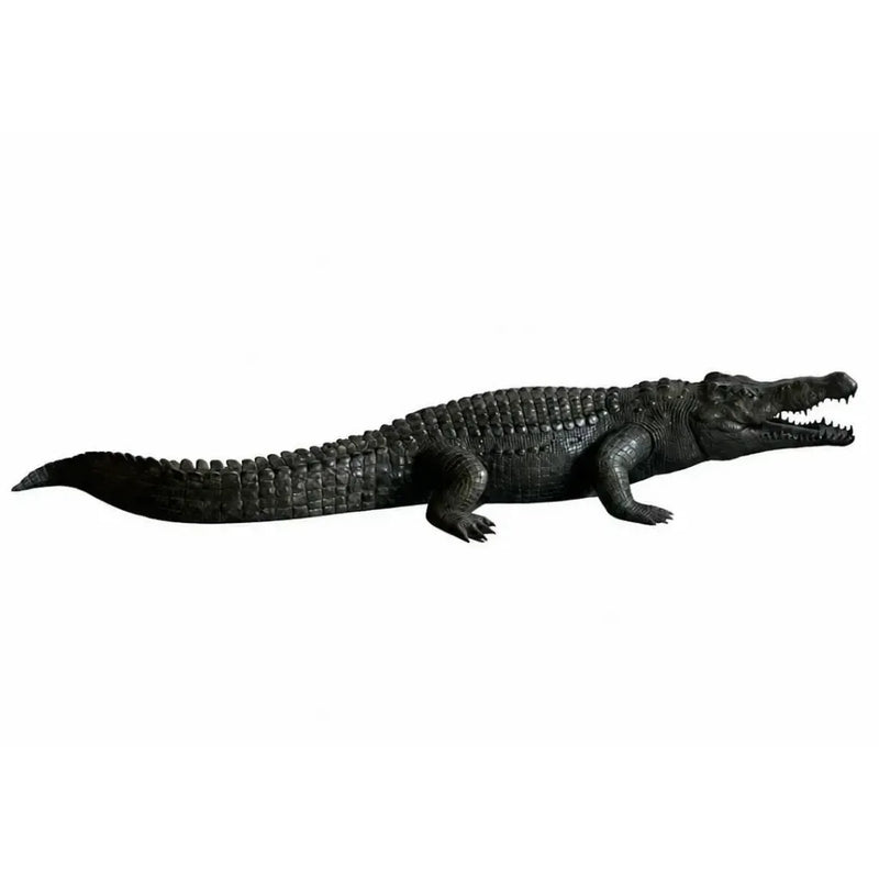Alligator — B1581
