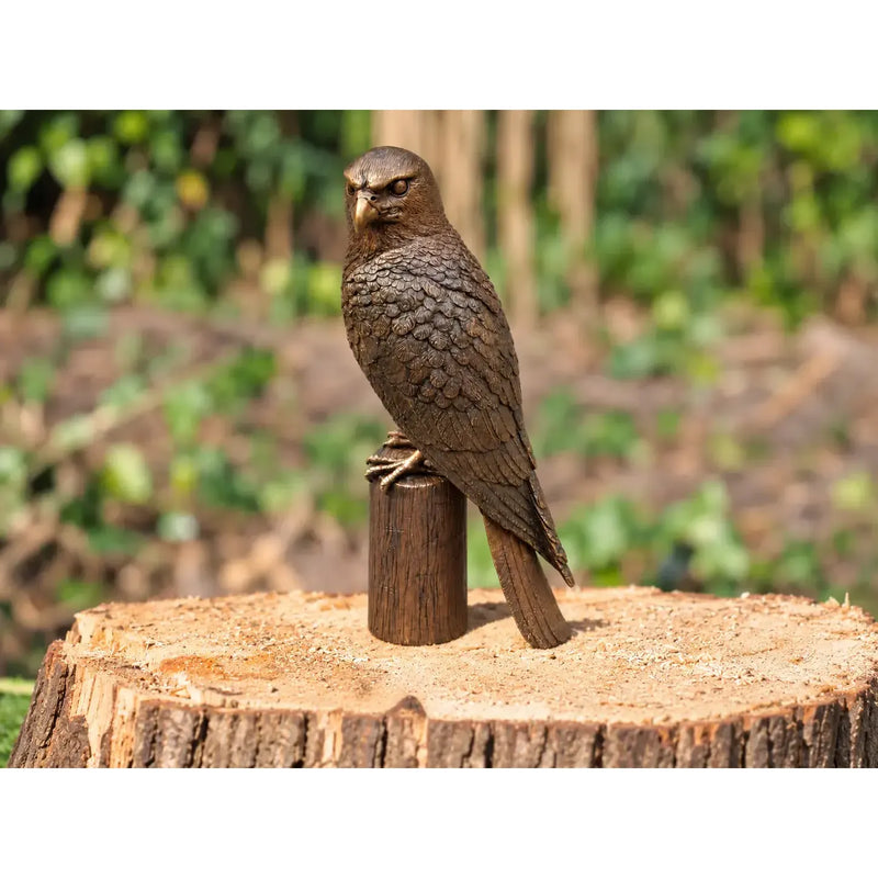 Faucon sur une souche — B1585