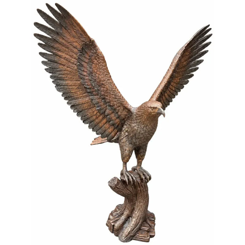 Aigle sur une souche d’arbre — B1586