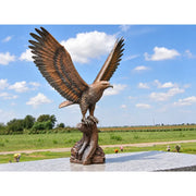 Aigle sur une souche d’arbre — B1586