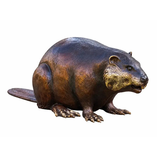 Castor — B18062