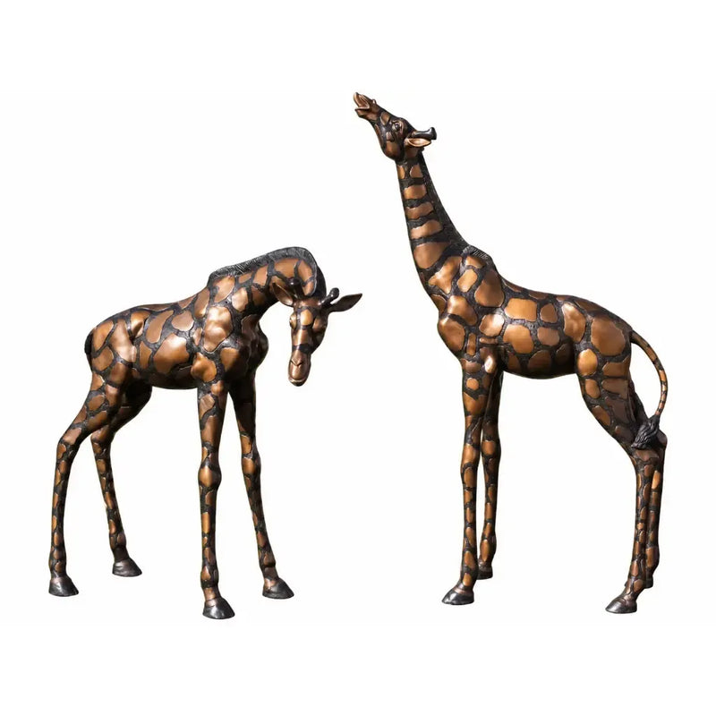 Paire de girafes — B19610