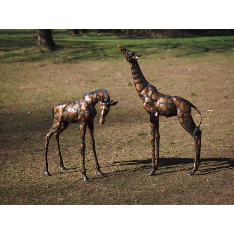 Paire de girafes — B19610