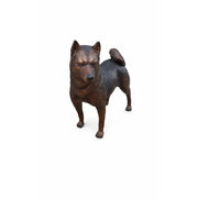 Shiba Inu — B22110