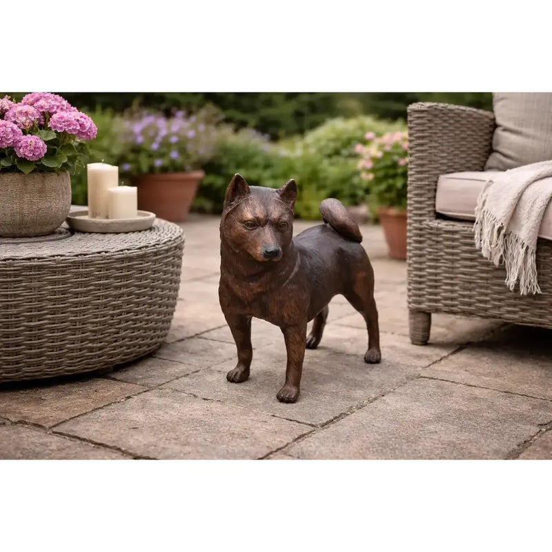Shiba Inu — B22110