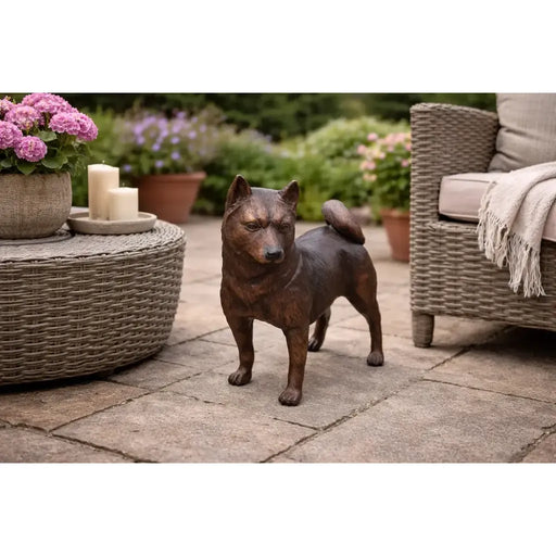 Shiba Inu — B22110