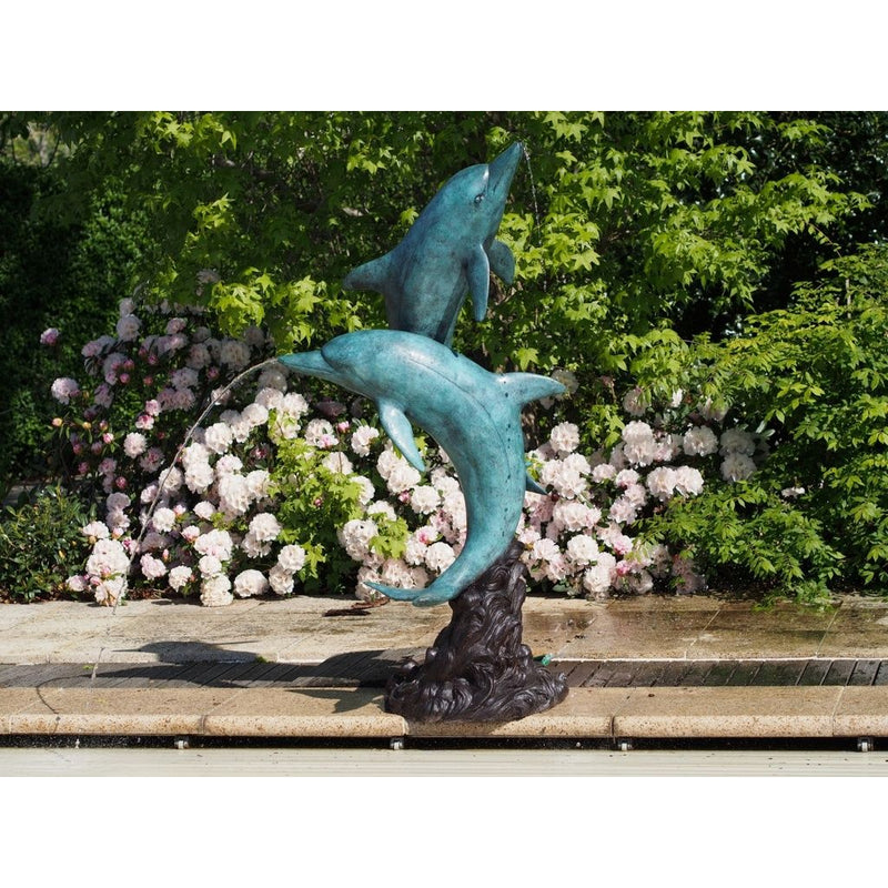 2 Dauphins — B28792