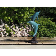2 Dauphins — B28792