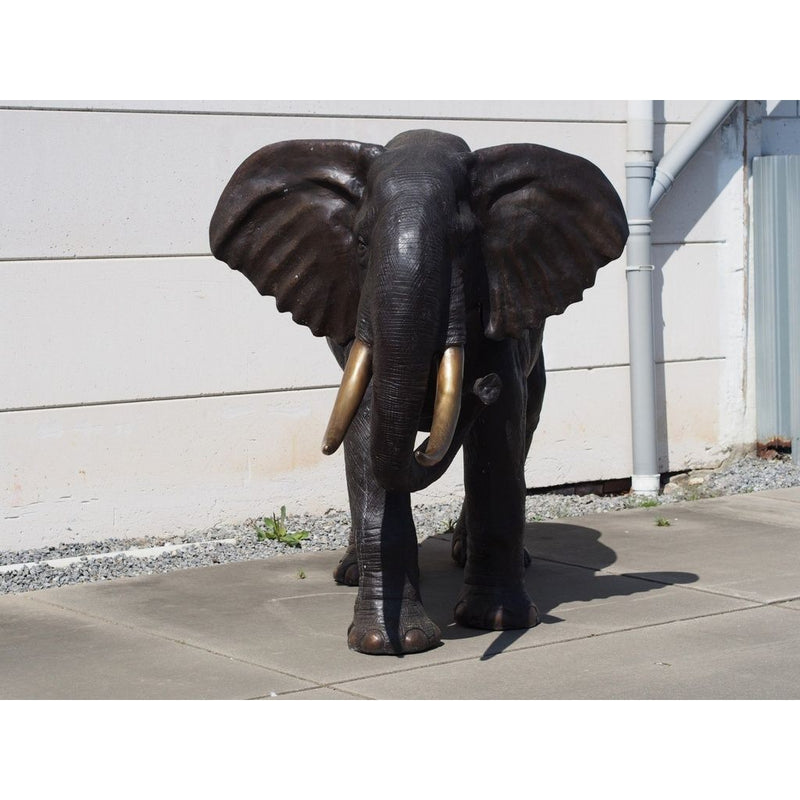 Eléphant — B28794