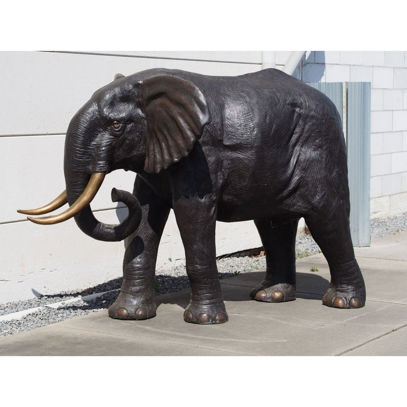 Eléphant — B28794