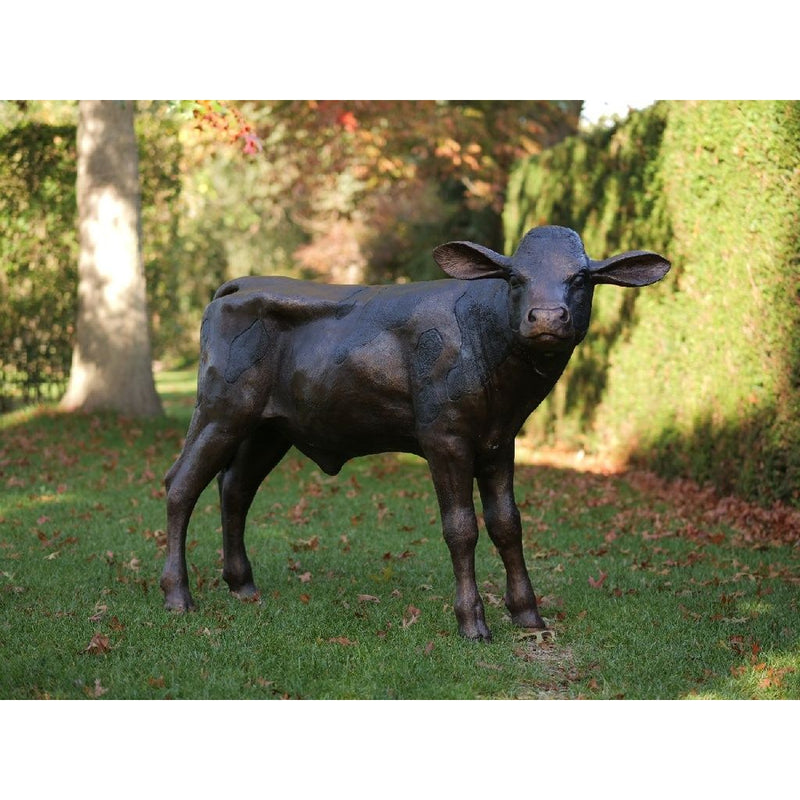 Veau — B47204
