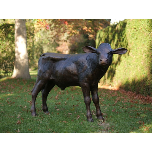 Veau — B47204
