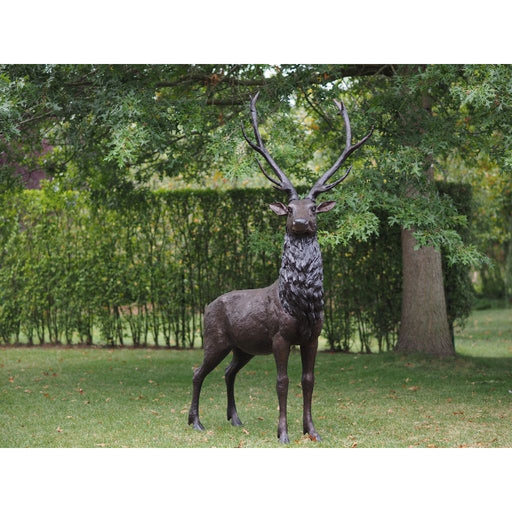 Cerf — B47232