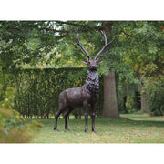 Cerf — B47232