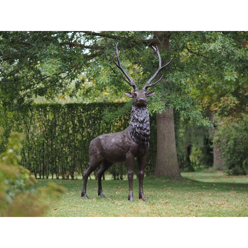 Cerf — B47232