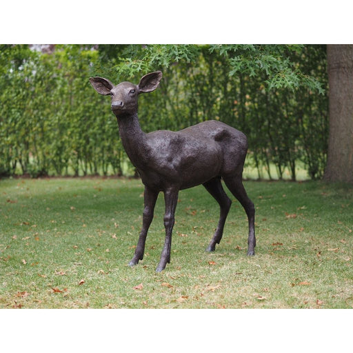 Biche — B47234