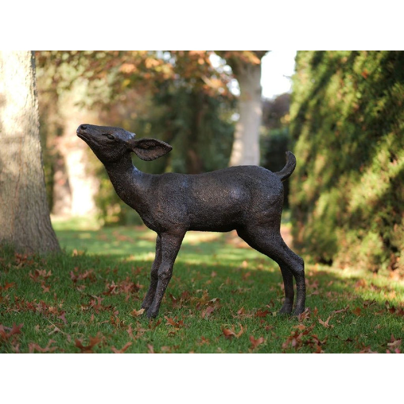 Petit Cerf — B47236