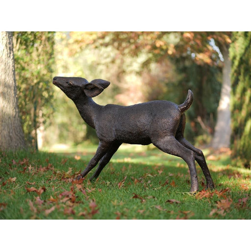 Petit Cerf — B47238