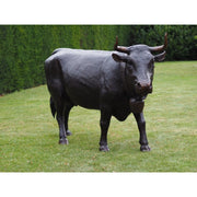 Vache D'Hérens — B47346