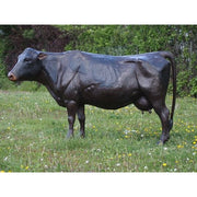 Grande Vache — B47382