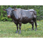Grande Vache — B47382