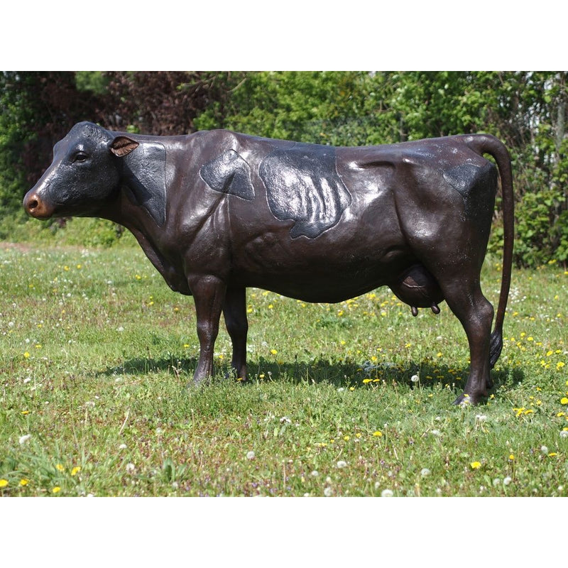 Grande Vache — B47382