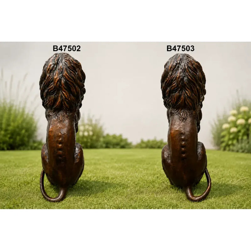 Lion Assis - Gauche — B47502