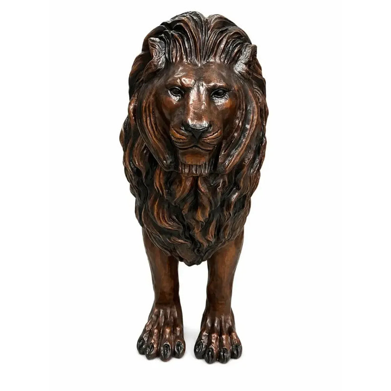 Lion Assis - Droit — B47503
