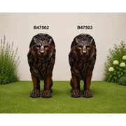 Lion Assis - Droit — B47503