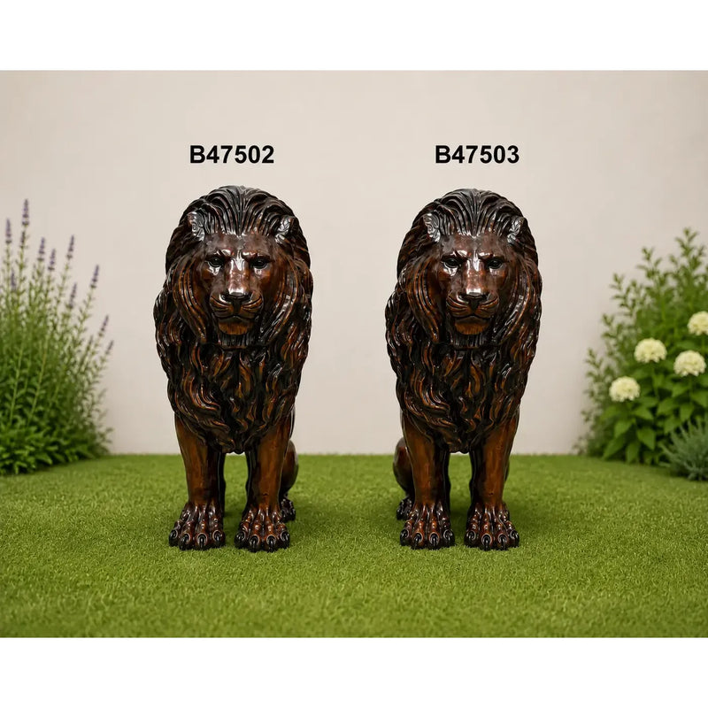 Lion Assis - Droit — B47503