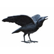 Corbeau — B50418
