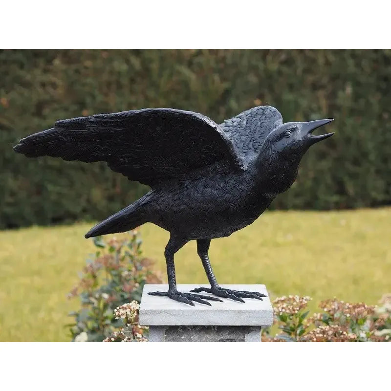 Corbeau — B50418