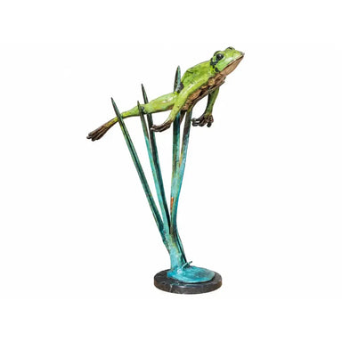 Grenouille sautante — B50534