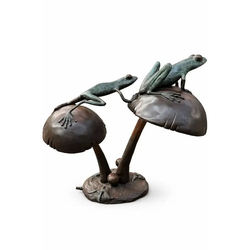 2 Grenouilles sur un champignon — B50552