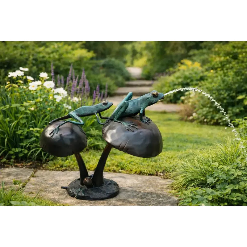 2 Grenouilles sur un champignon — B50552