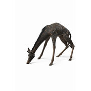 Girafe — B55018