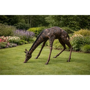 Girafe — B55018