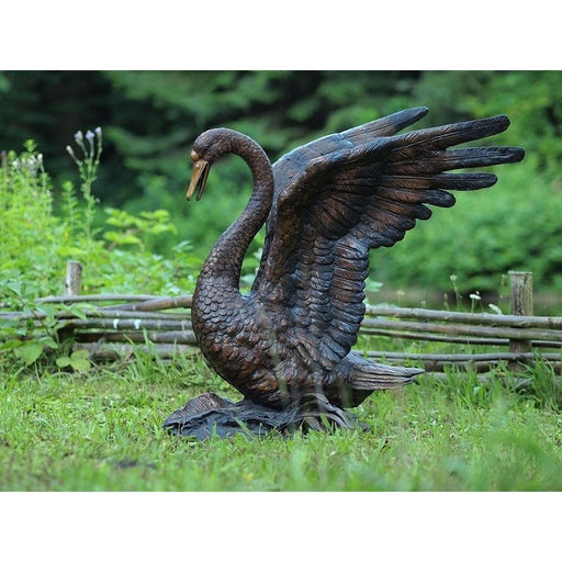 Cygne — B55874
