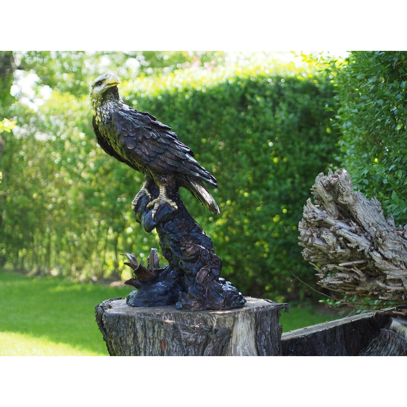 Aigle — B55956