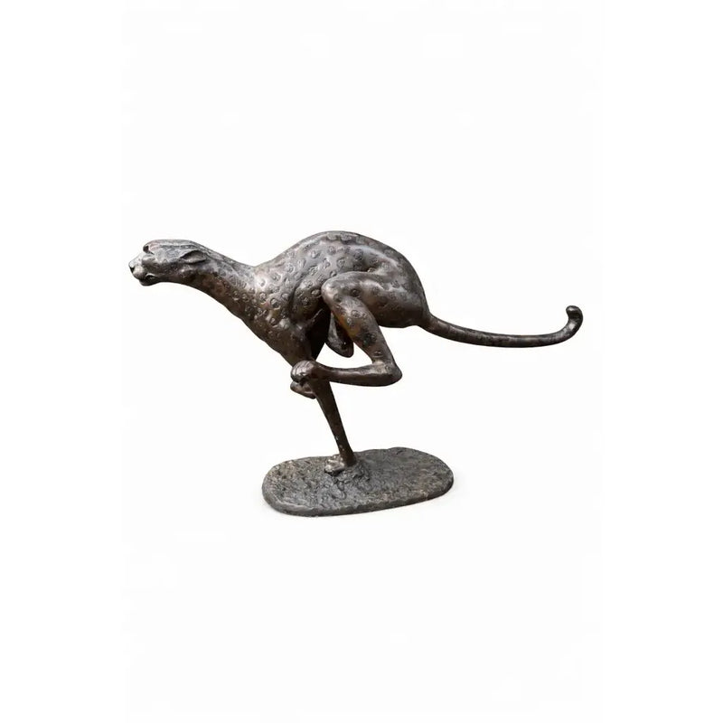 Cheetah — B56003