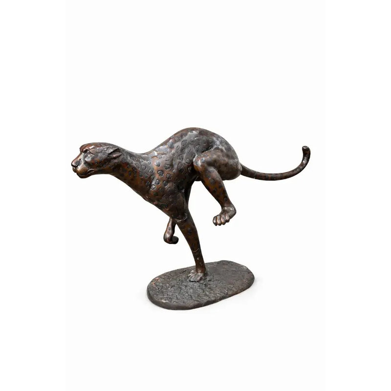 Cheetah — B56003
