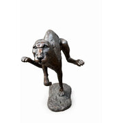 Cheetah — B56003