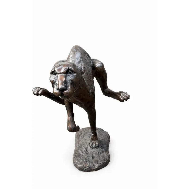Cheetah — B56003