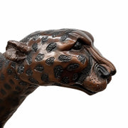 Cheetah — B56003