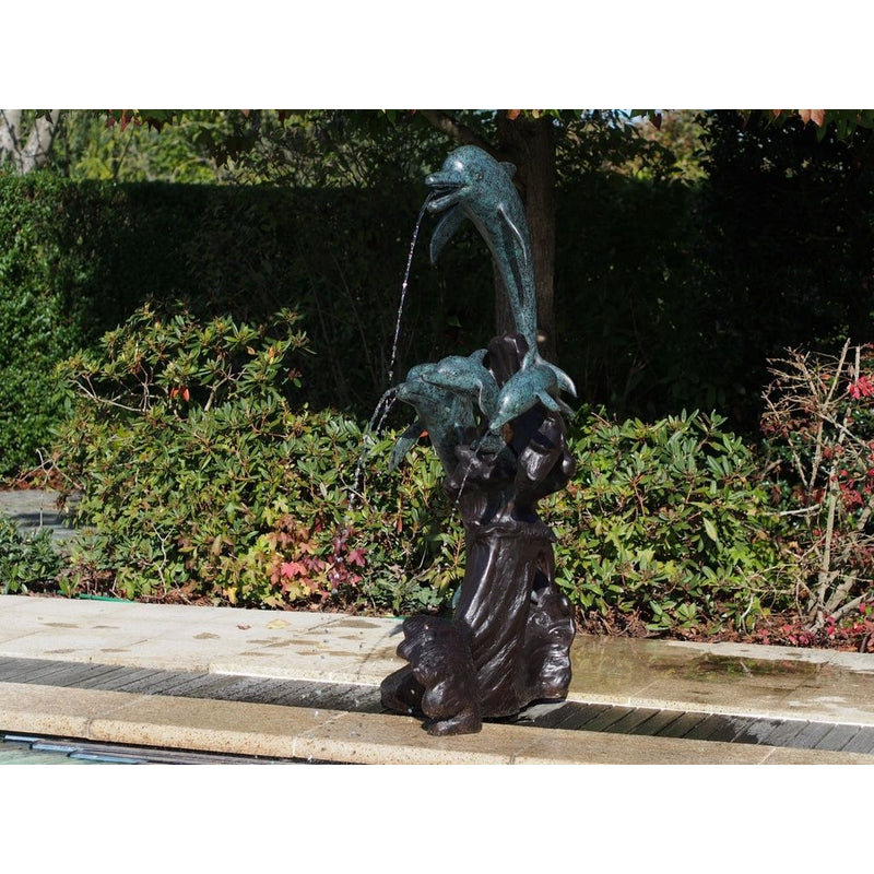 Famille De Dauphins — B56008