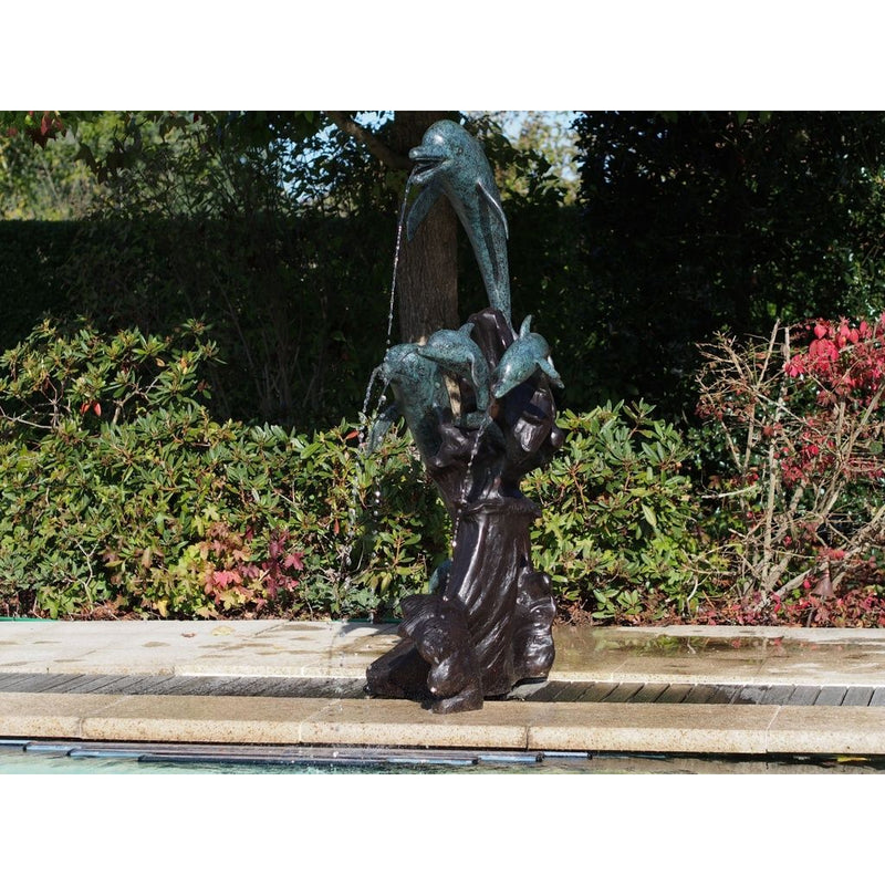 Famille De Dauphins — B56008