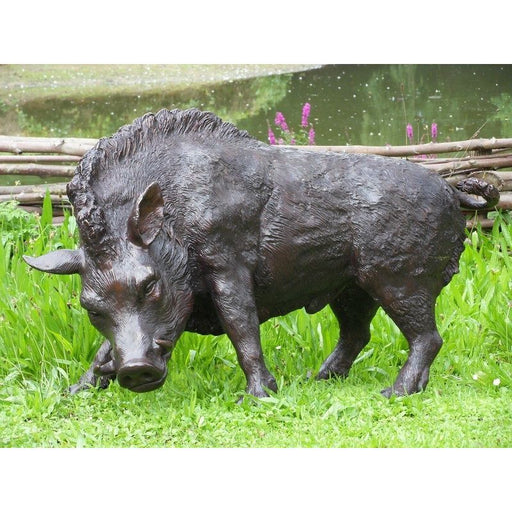 Sanglier — B56172