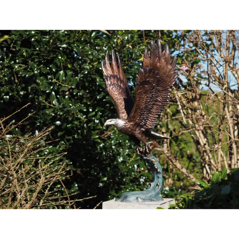 Aigle volant avec un poisson — B56604