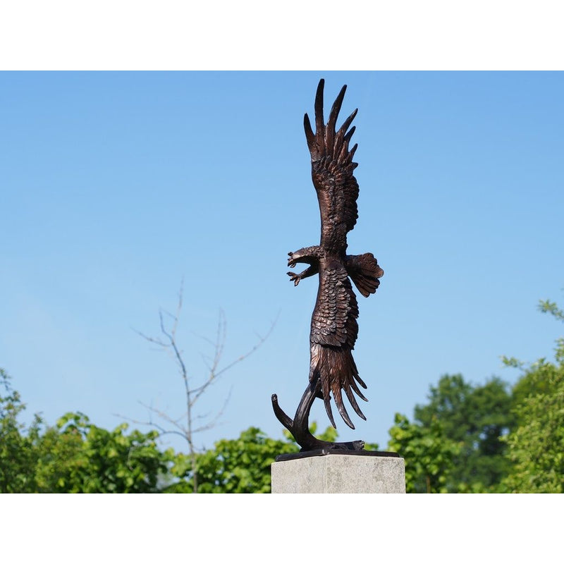 Aigle — B56606