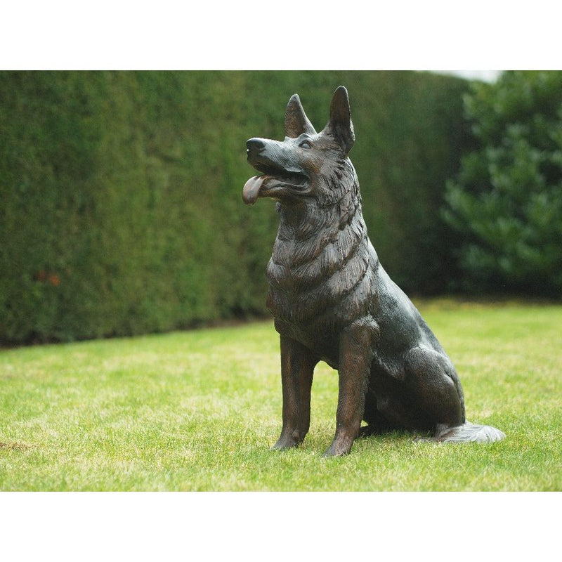 Chien Assise — B56814